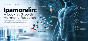 Ipamorelin: A Look at Growth Hormone Research